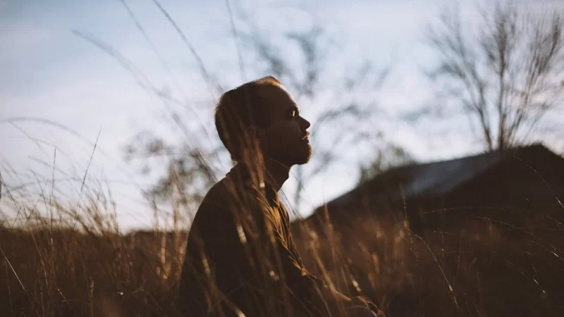 THE POWER OF GRATITUDE : EMBRACE LIFE WITH THANKFULNESS