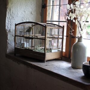 USNE CHUNA – A CHOICE THAT CAGED HER