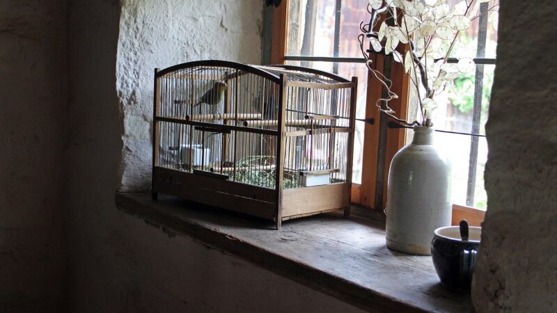 USNE CHUNA – A CHOICE THAT CAGED HER